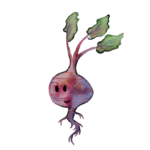 The tale of the baby beetroot Think Equal book character icon